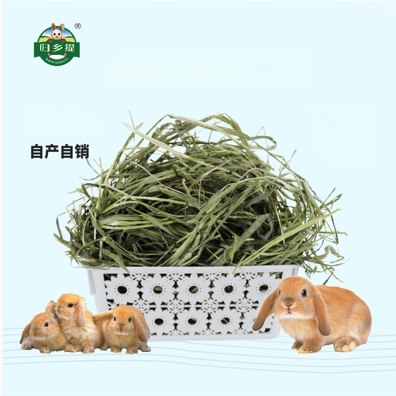 Džiovinta Timotijos žolė triušiams ir žiurkėnams – naminių gyvūnėlių maistas