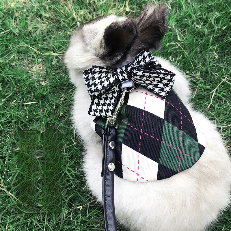 Küüliku valjas ja jalutuslint — Carrot Valley, Pärind Anhui, Mitte imporditud, Eri küülikutele