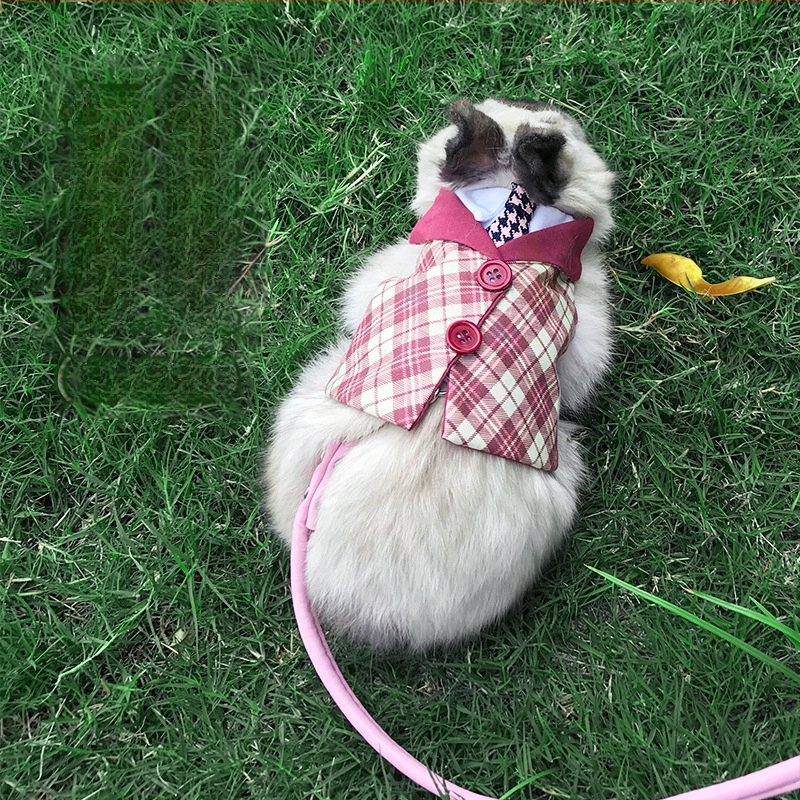 Küüliku valjas ja jalutuslint — Carrot Valley, Pärind Anhui, Mitte imporditud, Eri küülikutele