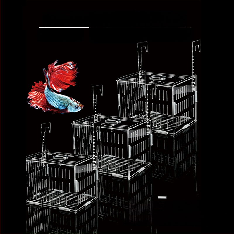 Akrilinė akvariumo inkubavimo dėžė – daugiafunkcinė, izoliuotos jaunosios žuvelės ir krevetės, surinkta