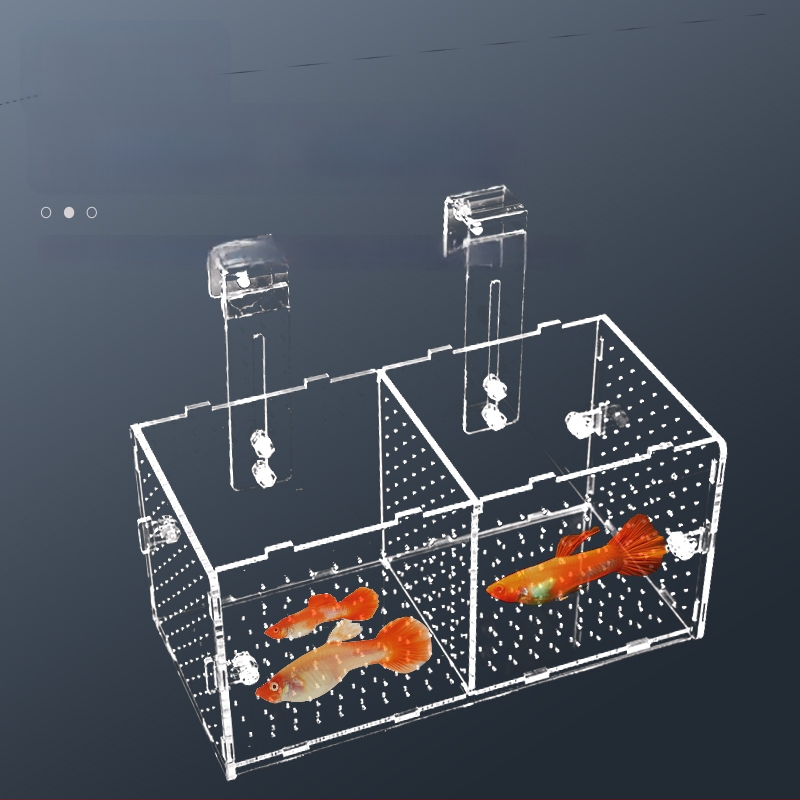 Akrilinė akvariumo inkubavimo dėžė – daugiafunkcinė, izoliuotos jaunosios žuvelės ir krevetės, surinkta