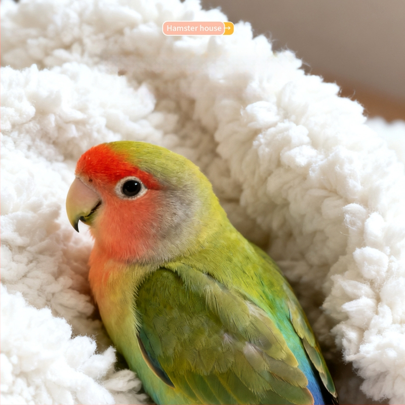 Väikeste lemmikloomade linnupesa – talvine soe puuvillane pesa, paksu isolatsiooniga magamiseks ja paljundamiseks