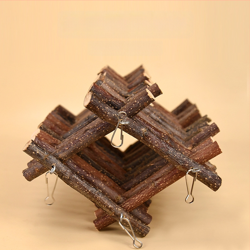 Hamsterio obuolmedžio šakelė kopimui su laiptais – žaislas Sirijos hamsteriui