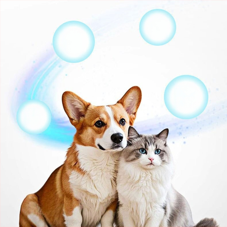 Gyvūnų sveikatos papildai: daugiavitamino tabletės su probiotikais katėms, šunims, mažiems gyvūnėliams ir ropliams; plaukų kamuoliukų kontrolė; 200 vienetų pakuotė