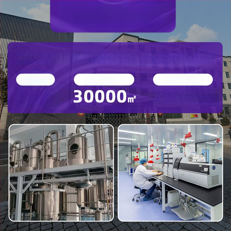 Gyvūnų sveikatos papildai: daugiavitamino tabletės su probiotikais katėms, šunims, mažiems gyvūnėliams ir ropliams; plaukų kamuoliukų kontrolė; 200 vienetų pakuotė