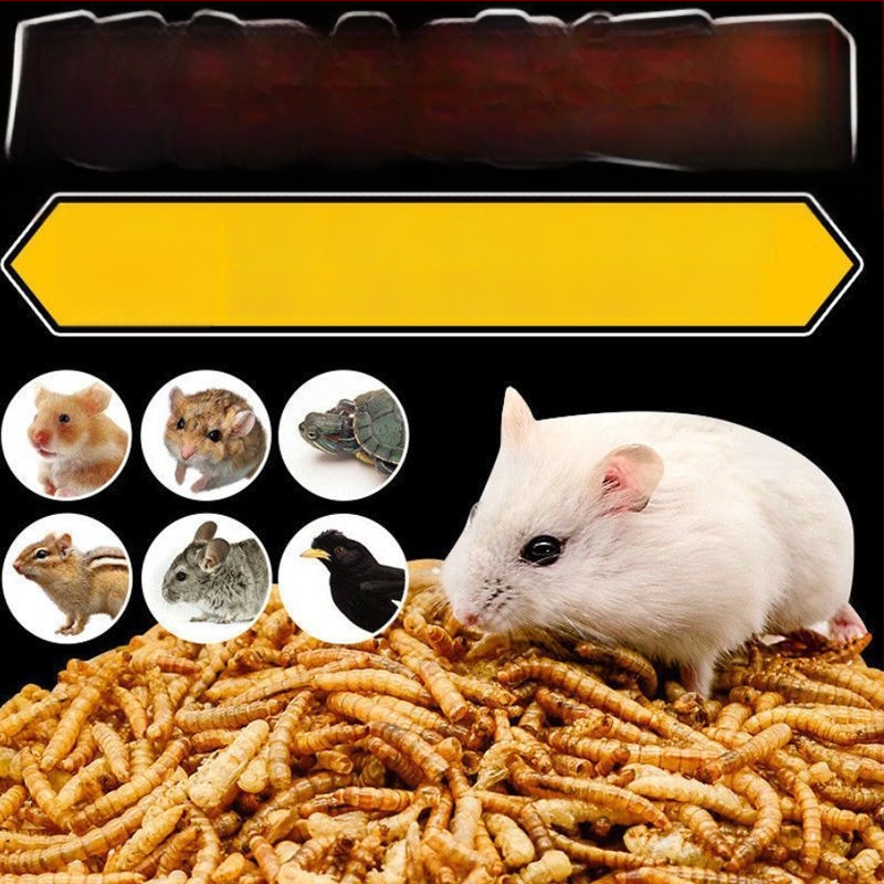 Hamsteri toit kuivatatud vastsete seguga — Kaubamärk Happy Parrot, Tootekood 123, Sobib hamsteritele ja väikestele lindudele