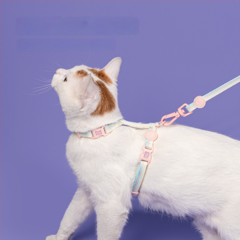 Katės harnasas ir pavadėlis – krūtinės liemenės stilius, reguliuojamas, atsparus pabėgimui, audinys