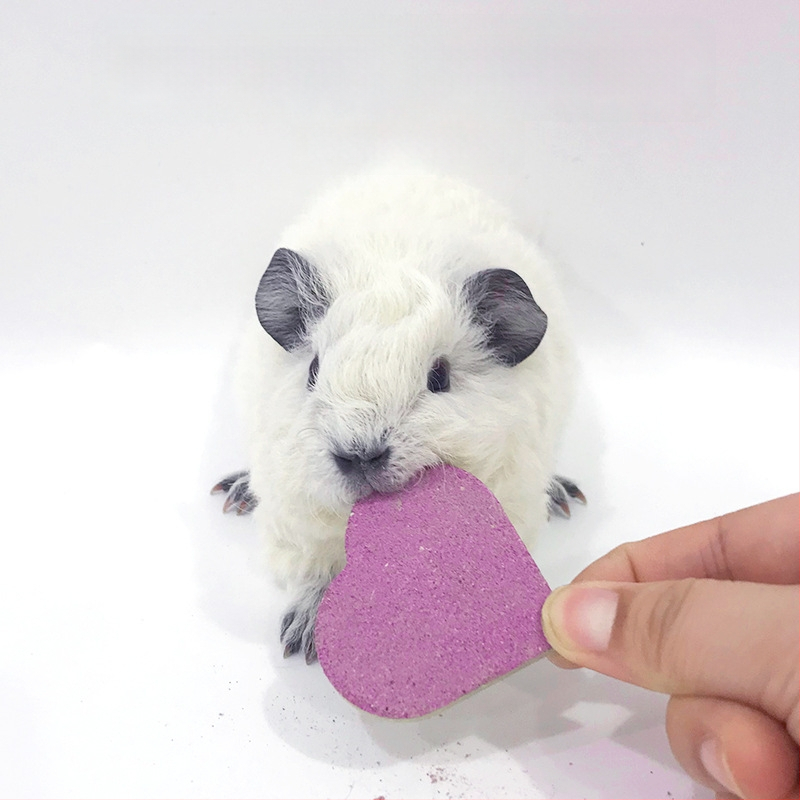 Džiovinta maistas — Timotijos žolės pyragas triušiams, činčiloms, žiurkėms ir jūrų kiaulytėms — 130 g — Radish Valley