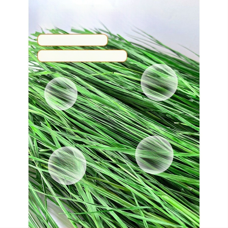 Džiovinta sausa pašara jauniems triušiams – Timothy šienas, 500 g, TZ6RSXHS | Naminių gyvūnų maistas