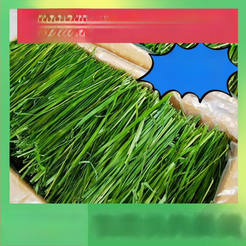 Džiovinta sausa pašara jauniems triušiams – Timothy šienas, 500 g, TZ6RSXHS | Naminių gyvūnų maistas