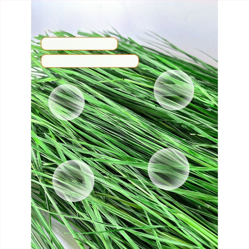 Džiovinta sausa pašara jauniems triušiams – Timothy šienas, 500 g, TZ6RSXHS | Naminių gyvūnų maistas