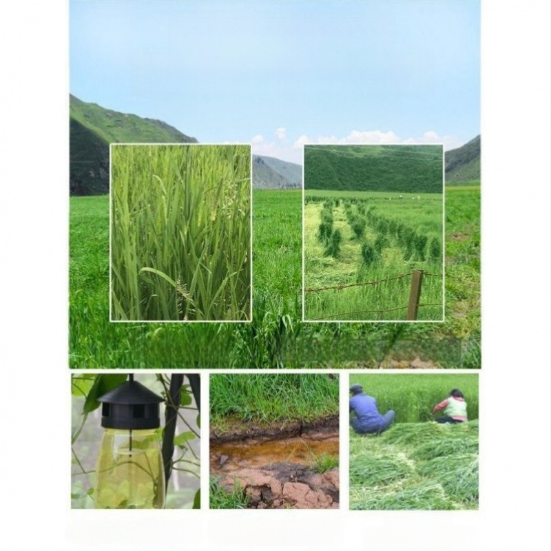 Džiovinta sausa pašara jauniems triušiams – Timothy šienas, 500 g, TZ6RSXHS | Naminių gyvūnų maistas