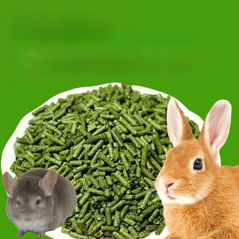 Drėgnas ėdalas su Timothy žolės granulėmis suaugusiems triušiams ir mažiems naminiams gyvūnėliams – naminiams gyvūnams skirtas ėdalas