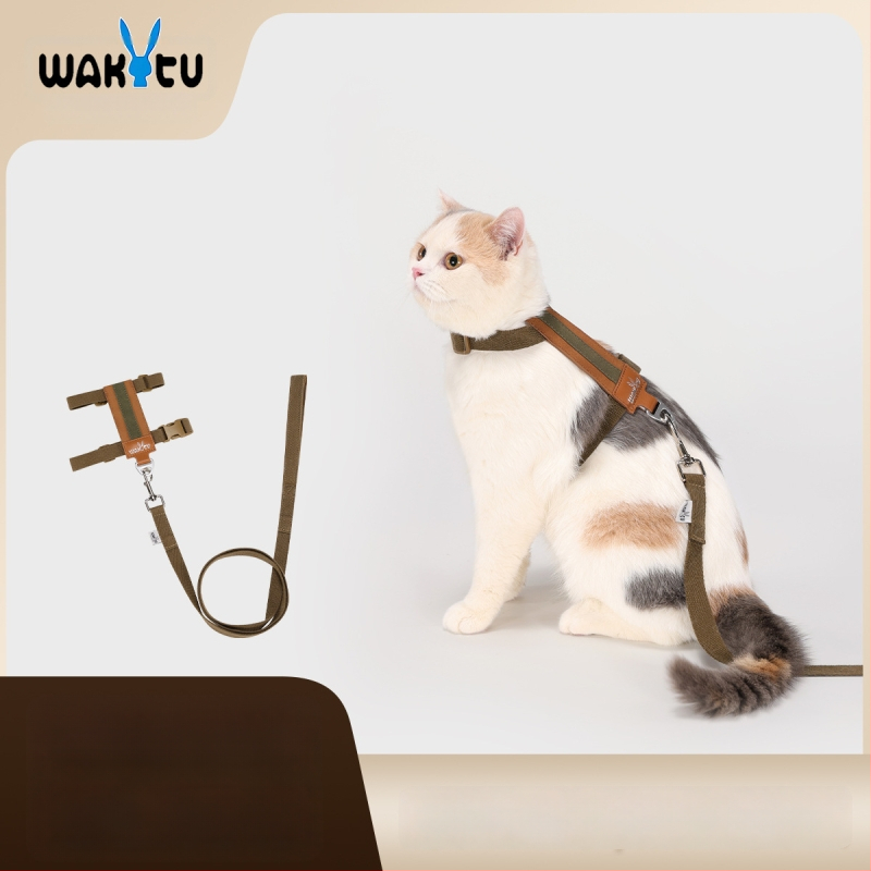 Kassi hám ja jalutuslint - vest-stiil, I-kujuline, katkestustele vastupidav suede PU materjal