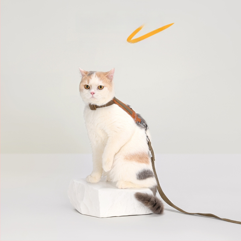 Kassi hám ja jalutuslint - vest-stiil, I-kujuline, katkestustele vastupidav suede PU materjal