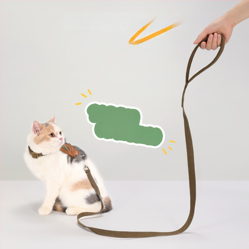 Kassi hám ja jalutuslint - vest-stiil, I-kujuline, katkestustele vastupidav suede PU materjal