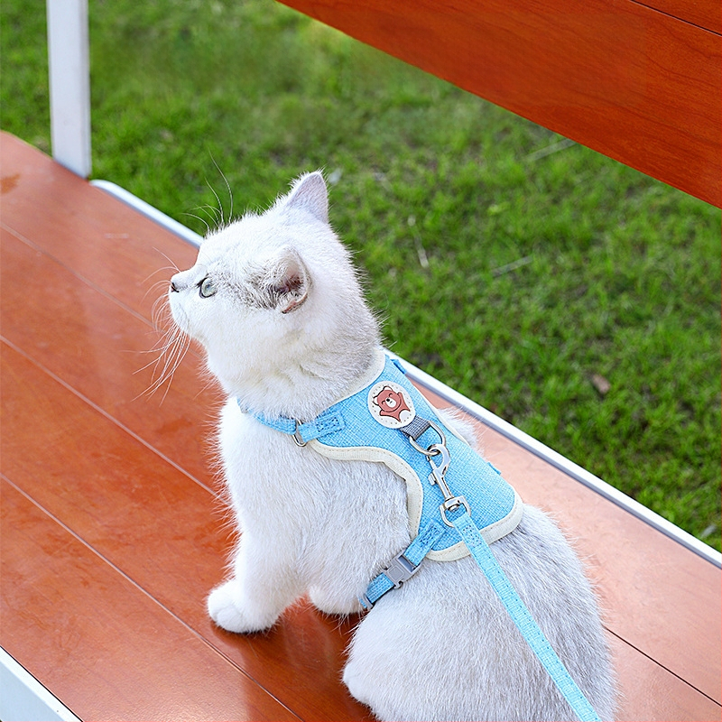 Vesti stiilis lemmiklooma harnass koos jalutuskoaga kassidele ja väikestele–keskmise suurusega koertele, kangas, vastupidav pääsemisele