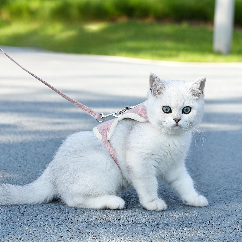 Vesti stiilis lemmiklooma harnass koos jalutuskoaga kassidele ja väikestele–keskmise suurusega koertele, kangas, vastupidav pääsemisele