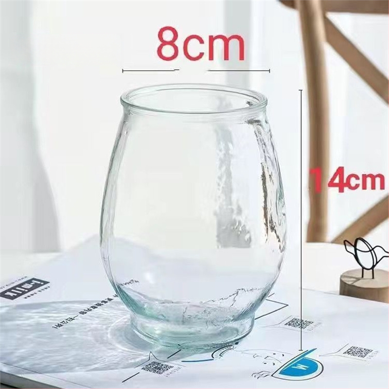 Guanyin bambus (Lucky bamboo) – 4 tk hydroponiline taim juurtele siseruumide elutoa jaoks, Tootekood H0114150525