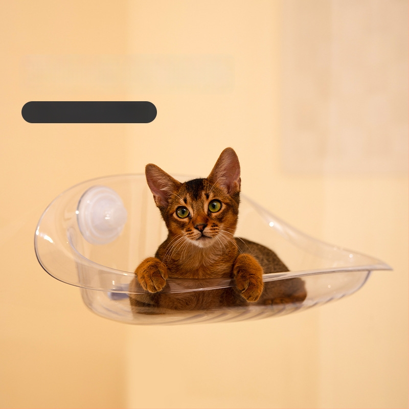 Riputatav kassihammak koos vaakumpuudustega, plastikkonstruktsioon, bränd Claw, kõikide aastaaegade jaoks, kasside ronimis raam