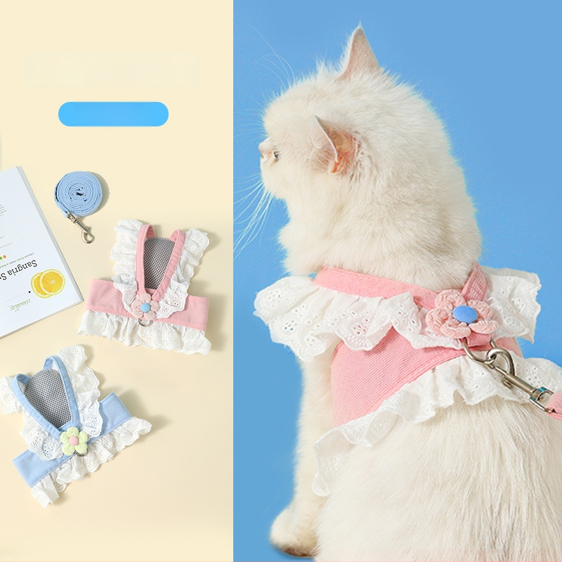 Kassi rindkerehamm ja jalutusrihm, polüestri nöör