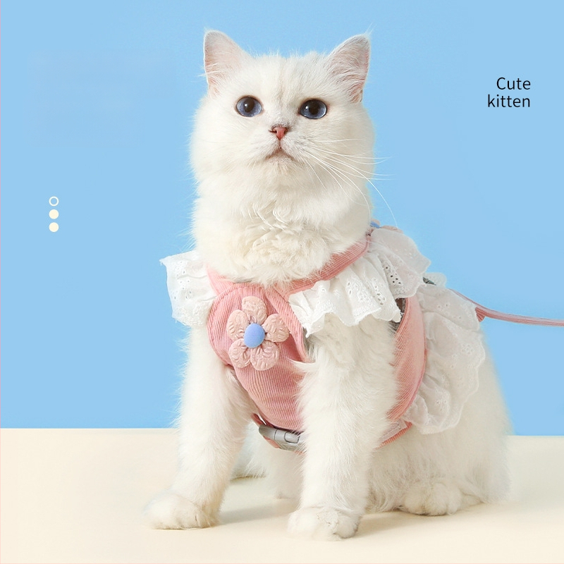 Kassi rindkerehamm ja jalutusrihm, polüestri nöör