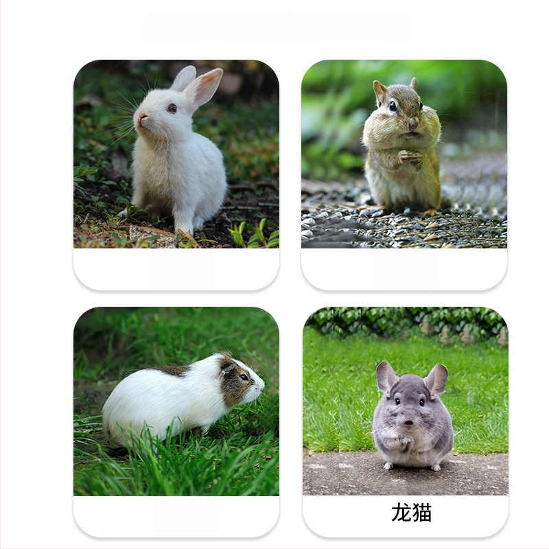 Pakabinta šieno krepšelis mažiems augintiniams: triušiams, jūrų kiaulėms, hamstermi ir činčilėms — Oxford audinys, kilmė Zhejiang, prekių ženklas Confucianism