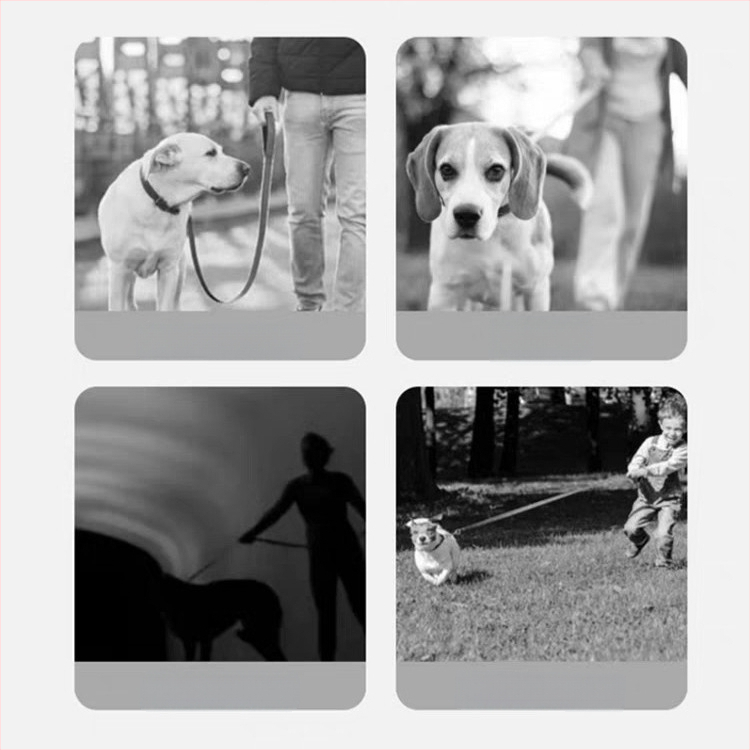 Tagasitõmbuv koera jalutusnöör väikestele ja keskmistele koertele — ABS materjal, automaatne pikkendamine, Xin Chong bränd