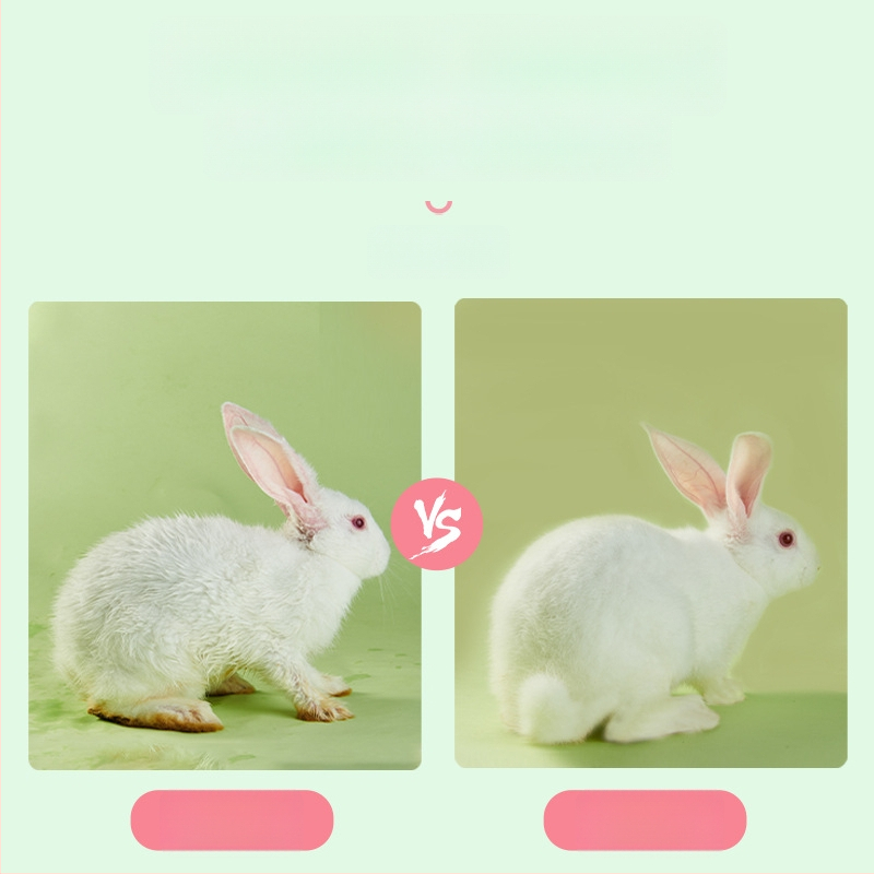 yee vienkartinės pirštinės naminiams gyvūnėliams, audinys, kilmė Shandong, prekė Yee, tinkamos triušiams