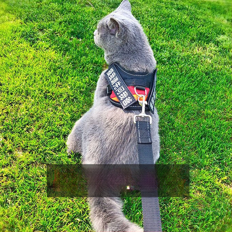 Katės pavadėlis su anti-sulaužymo savybe, liemenės stiliaus dirželis, poliesteris, visoms metų laikams