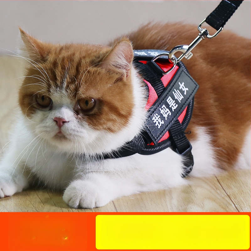 Katės pavadėlis su anti-sulaužymo savybe, liemenės stiliaus dirželis, poliesteris, visoms metų laikams