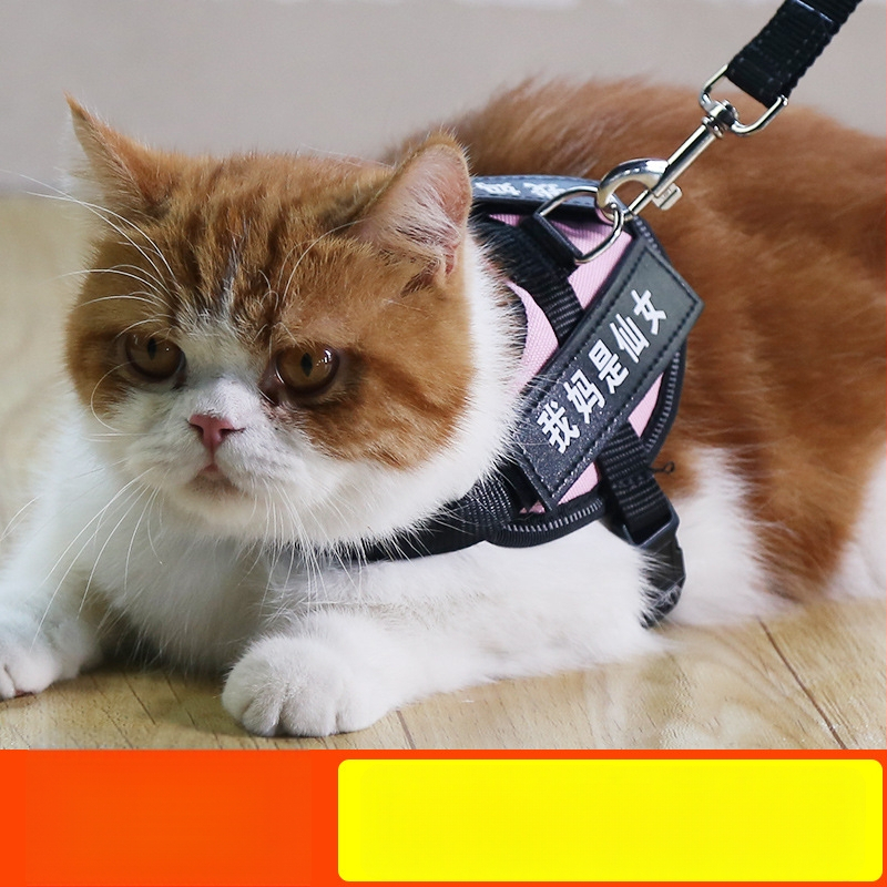 Katės pavadėlis su anti-sulaužymo savybe, liemenės stiliaus dirželis, poliesteris, visoms metų laikams