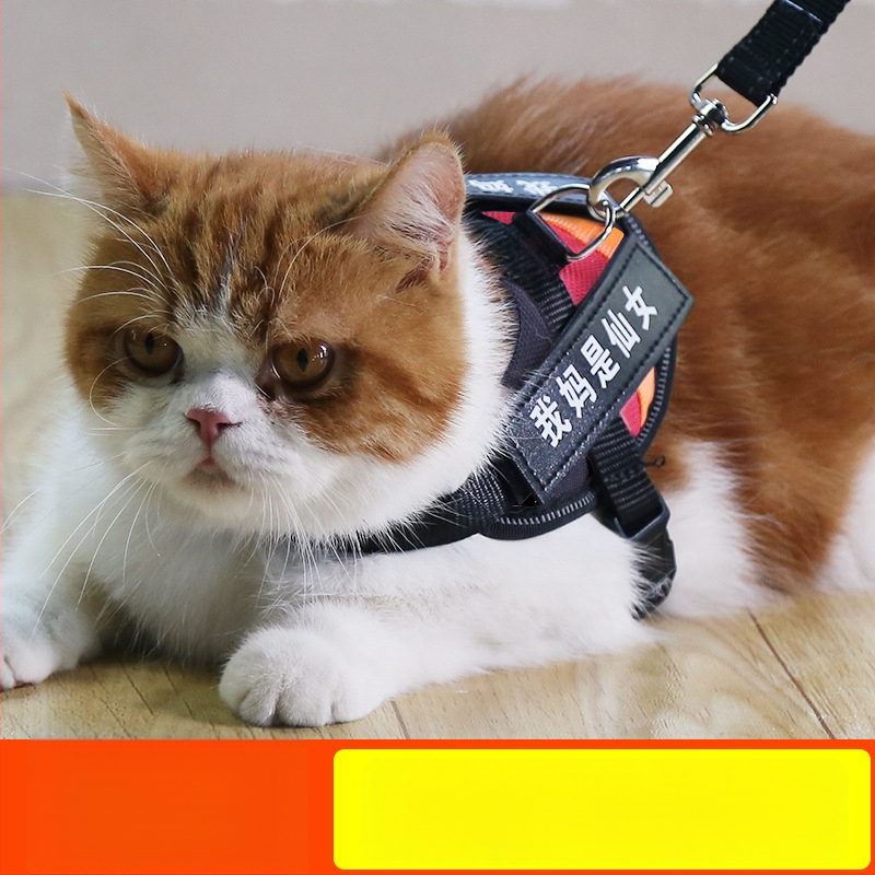 Katės pavadėlis su anti-sulaužymo savybe, liemenės stiliaus dirželis, poliesteris, visoms metų laikams