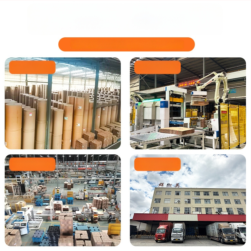 Perkėlimui ir laikymui skirta dėžė su sagte, gofruotas kartonas, itin tvirtas, 230 g/m²