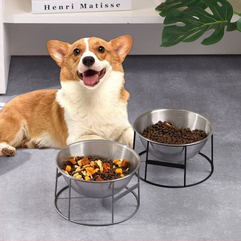 Mājdzīvnieku ēdināšanas trauks pret nolūšanu ar lēnu barošanu — viena bļoda suņiem un kaķiem, GUOJJ