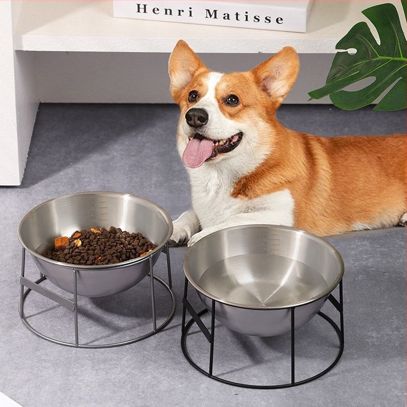 Mājdzīvnieku ēdināšanas trauks pret nolūšanu ar lēnu barošanu — viena bļoda suņiem un kaķiem, GUOJJ