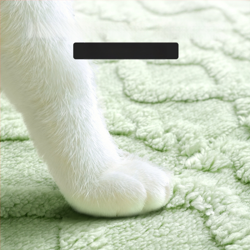 Aihe šunų pledas su sėdėjimo pagalve iš Shu cotton velvet – skalbiama