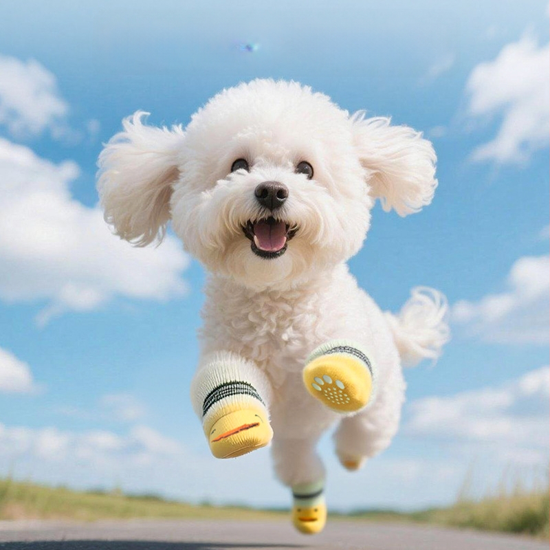 Šunų kojinės su Cartoon raštu, medvilnė, Twill audimas, Jacquard apdorojimas, pavasaris ir ruduo