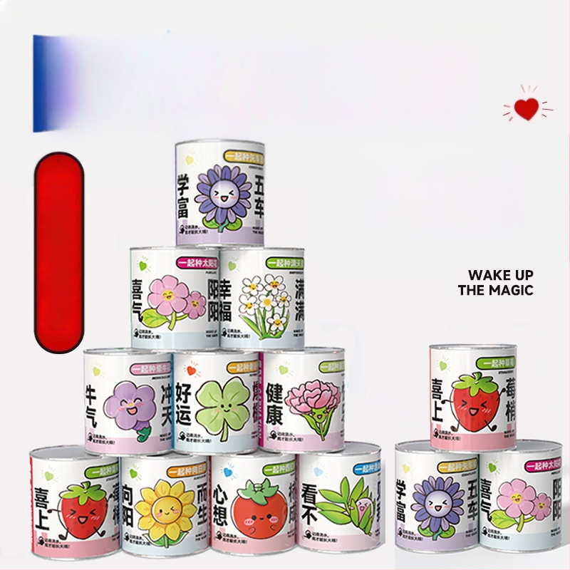 Mini potitaimed salapärases kastis istutamiseks: maasikas, gypsophila, morning glory; sobib klassile või õpilaste preemiaks