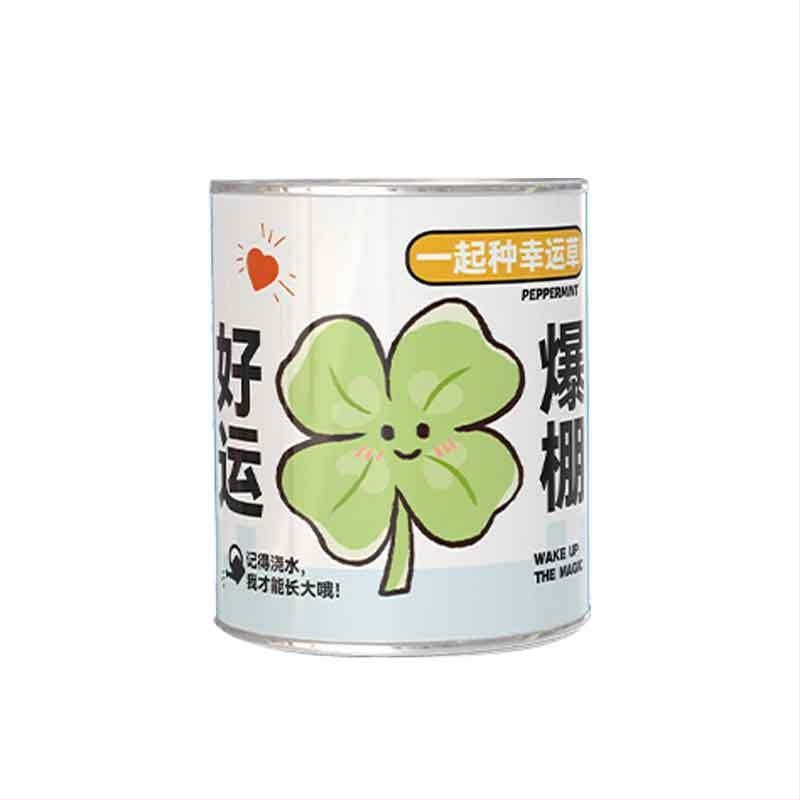 Mini potitaimed salapärases kastis istutamiseks: maasikas, gypsophila, morning glory; sobib klassile või õpilaste preemiaks