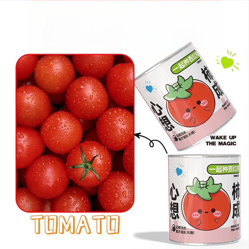 Mini potitaimed salapärases kastis istutamiseks: maasikas, gypsophila, morning glory; sobib klassile või õpilaste preemiaks