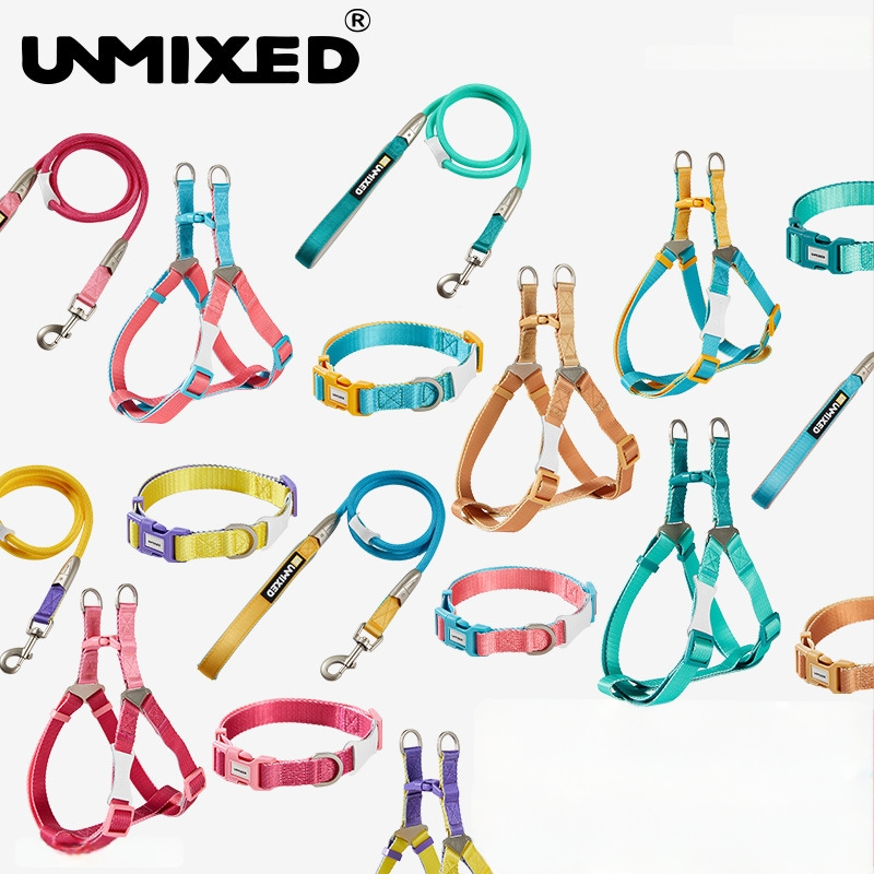 Šuns harnasas ir pavadėlio rinkinys — poliesteris, UNMIXED, 24 vnt.