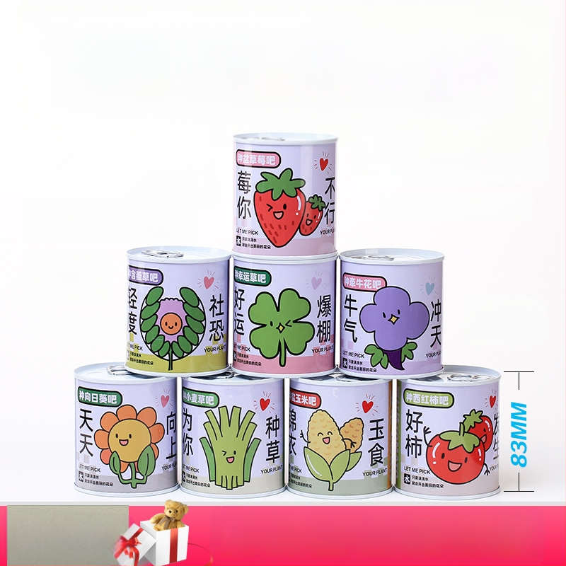 Laua taime kinkekarbis päevalille seguga — kergesti kasvatatavad seemned, sordid: päevalill, maasikas, tomat, ristiku; üle 15°C, neutraalne valgus