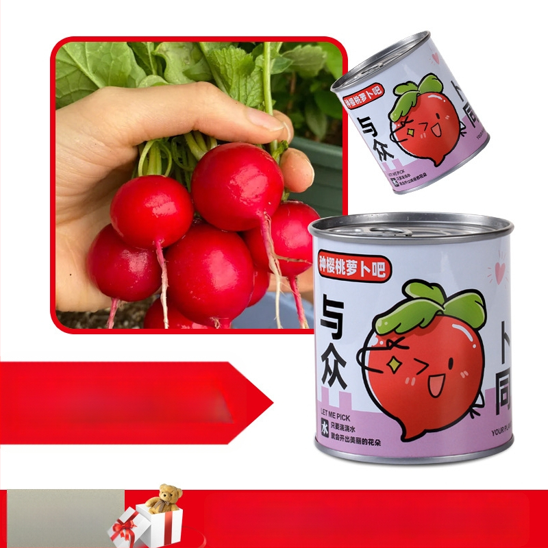 Laua taime kinkekarbis päevalille seguga — kergesti kasvatatavad seemned, sordid: päevalill, maasikas, tomat, ristiku; üle 15°C, neutraalne valgus