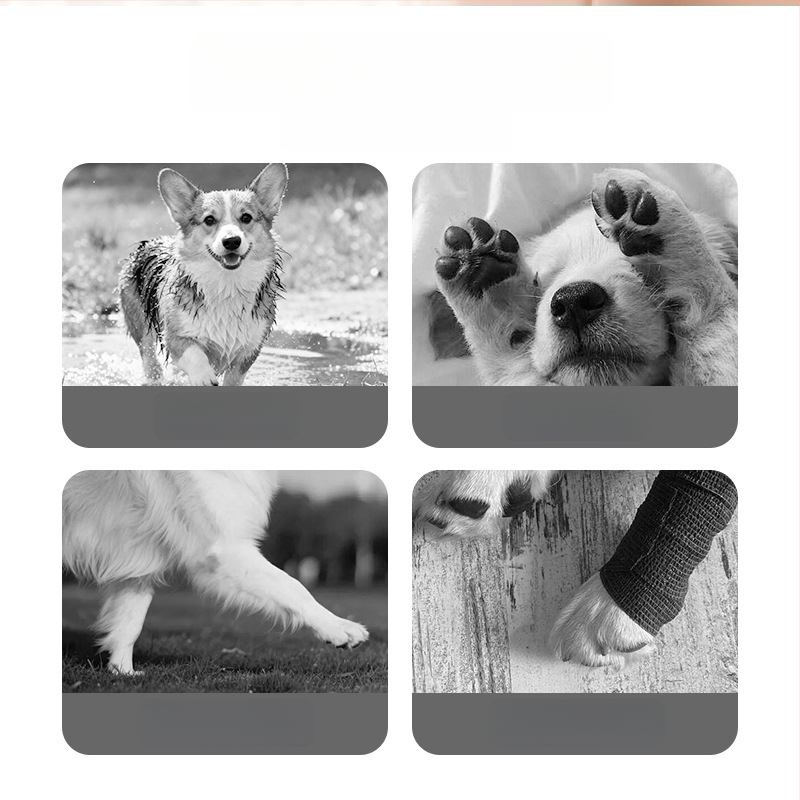 Šunų kojinės ir letenų apsaugos, neslystančios vidaus ir lauko naudojimui, megztas warp mezgimas, jacquard audinys, poliesteris