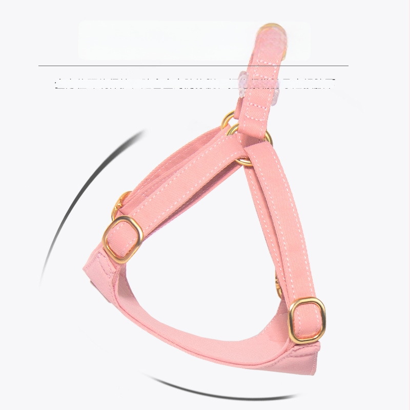 Postroj pre psa na prechádzky — hrudný a chrbtový remienok, nepoddajný ťahový pás, značka Support