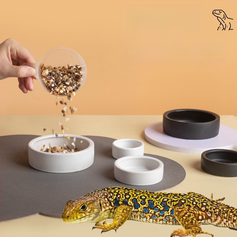 Keraminė driežams maisto indas su dizainu prieš pabėgimą, apvali aukšto krašto lėkštė, kilmė Čaozhou Guangdong