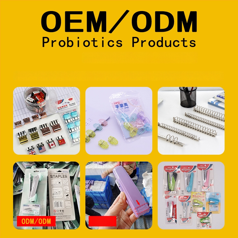 Värviline pikk sab-klips käsiraamatu hoidjale, plastikust ja metallist konstruktsioon, mitmekülgne dokumentide korraldaja