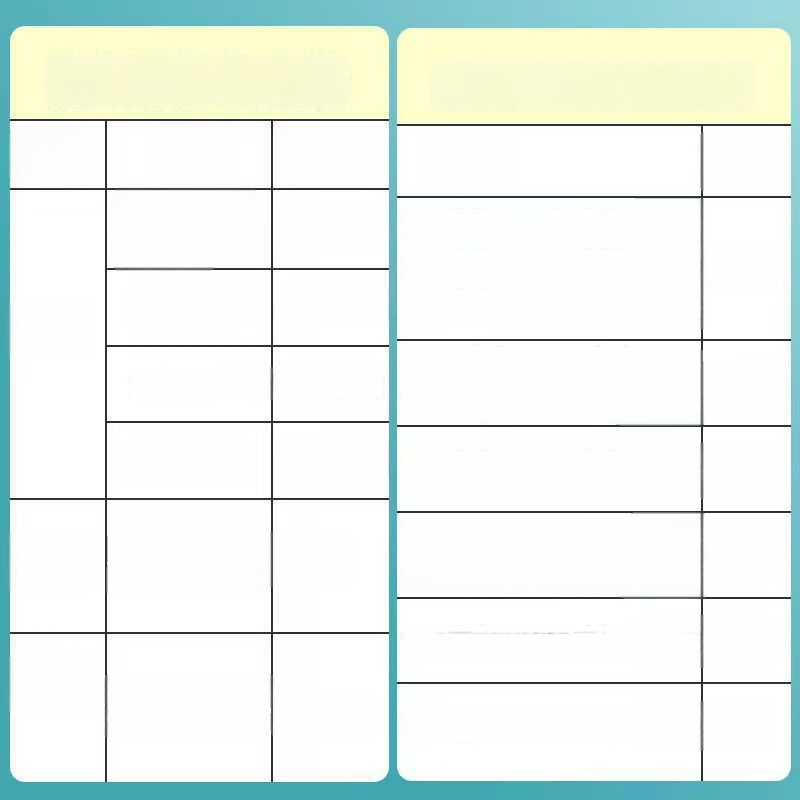 Permatomas knygų dangtelis studentams, iš plastiko, tinkamas kaip dovana