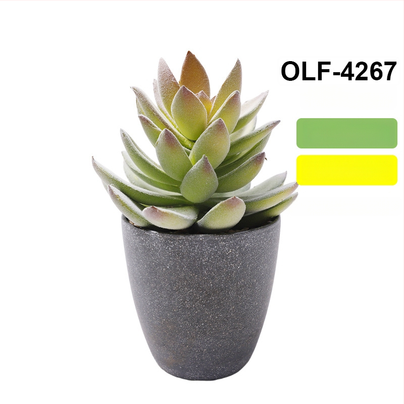 Retro dirbtinis kaktusas bonsai betono vazonėlyje biurui • Prekės ženklas Olif • Medžiaga PU • Amatas: Kita • Tipas: Kaktusas